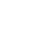 tici-dolphin